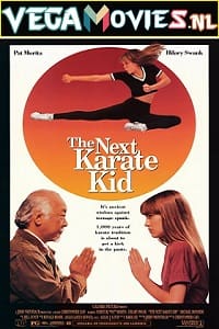 The Next Karate Kid (1994) Dual Audio {Hindi-English} 480p [400MB] | 720p [1GB] | 1080p [3.7GB]